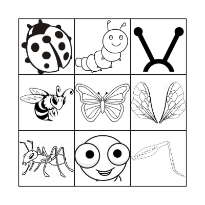 Insects and Their Parts Bingo Card