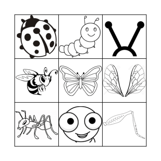 Insects and Their Parts Bingo Card