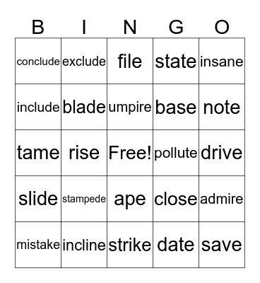 Silent E Bingo Card