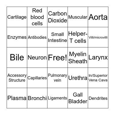 Body Systems Bingo Card