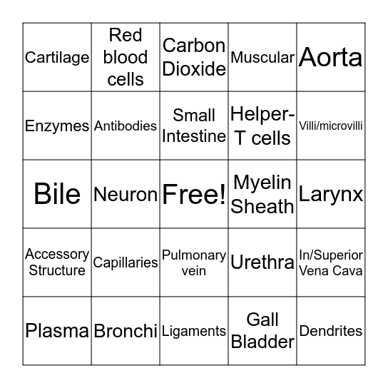 Body Systems Bingo Card