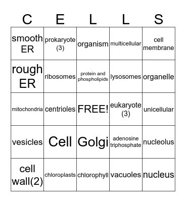 CeLLs Bingo Card