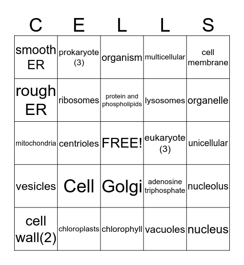 CeLLs Bingo Card