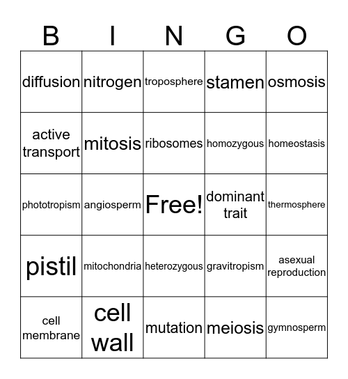 End of Year Review Bingo Card