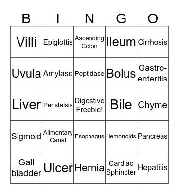 Digestive System Bingo Card