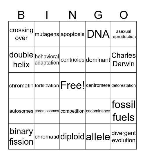 Science Test Review Bingo Card