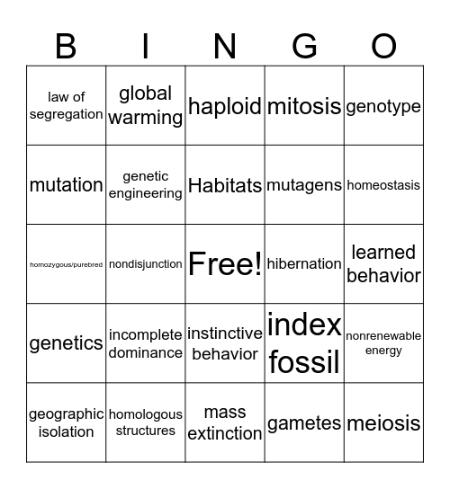 Final Exam Review #2 Bingo Card
