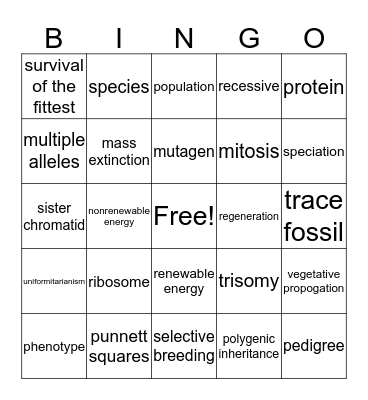 Exam Review #3 Bingo Card