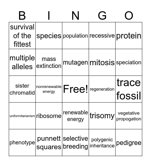 Exam Review #3 Bingo Card