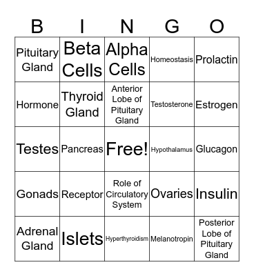 Endocrine System Bingo Card