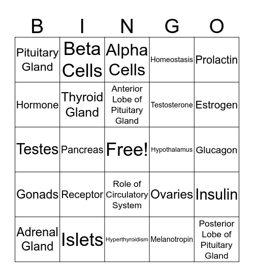 Endocrine System Bingo Card