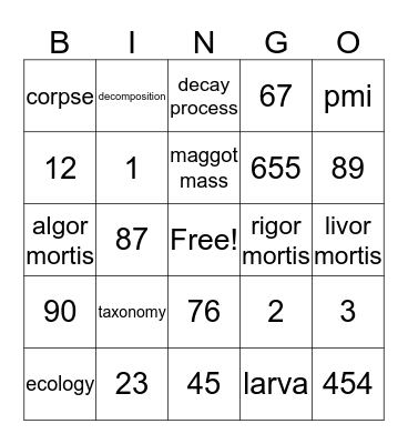 Chapter 10 Bingo  Bingo Card
