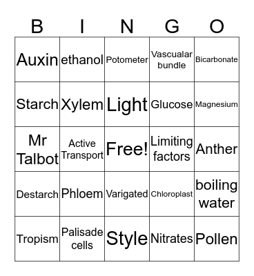 Plant Bingo Card