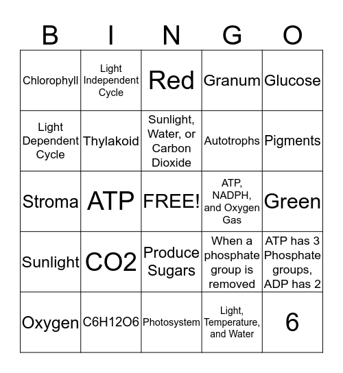 Photosynthesis Bingo Card