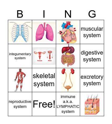 Human Body Systems Bingo Card