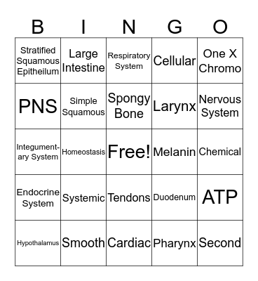 Anatomy Final Bingo Card