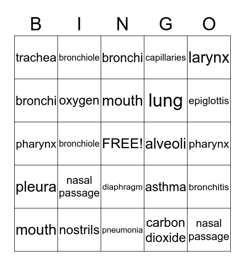 The Human Respiratory System Bingo Card