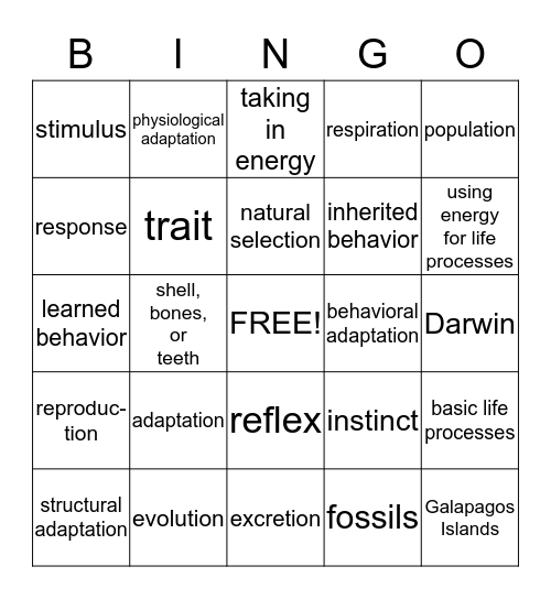 Changing and Adapting Bingo Card