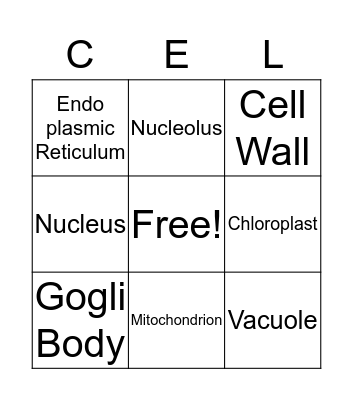 Plant cells Bingo Card