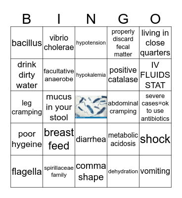 CHOLERA BINGO! Bingo Card