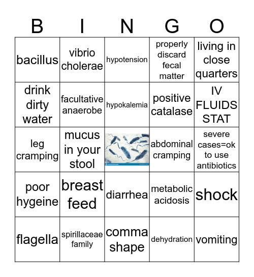CHOLERA BINGO! Bingo Card