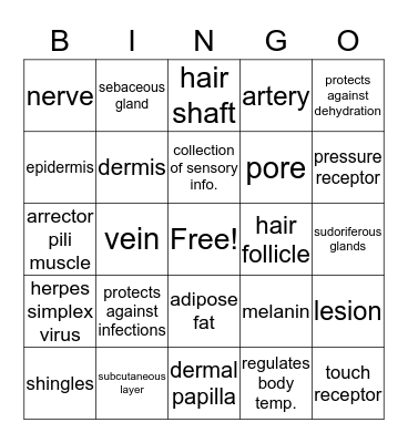 Integumentary system  Bingo Card