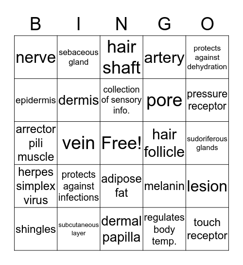 Integumentary system  Bingo Card