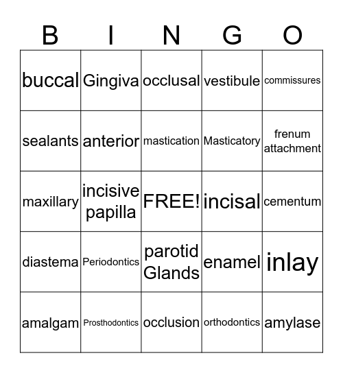 Dental Bingo Card