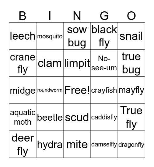 Stream Study Bugs Bingo Card
