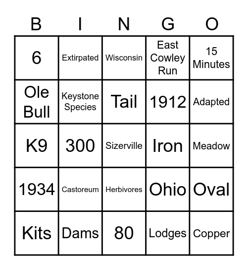 BEAVER BINGO Card