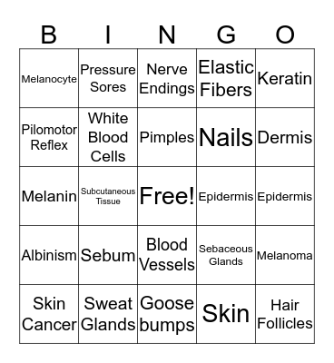 Integumentary System Bingo Card
