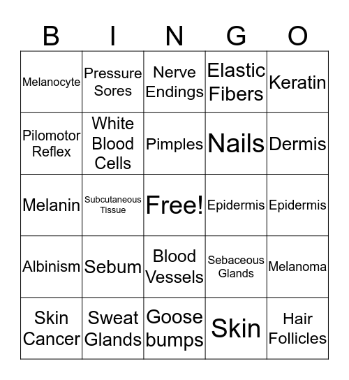 Integumentary System Bingo Card