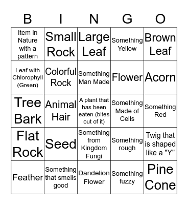 Nature Scavenger Bingo Card