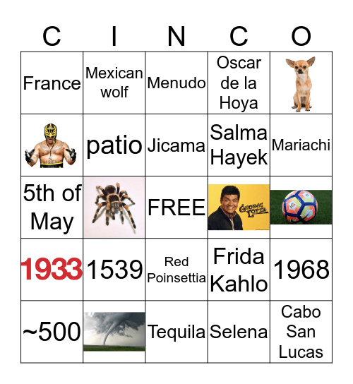Cinco de Mayo Bingo Card