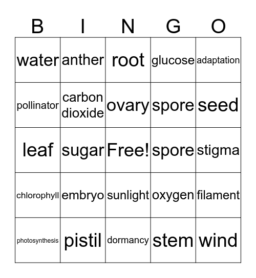 4.4 PLANTS Bingo Card