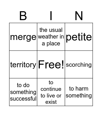 Definitions, Antonyms, Synonyms Bingo Card