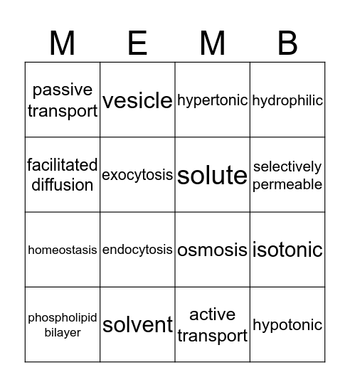 Cell Membranes Bingo Card