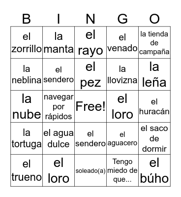 Spanish Vocabulary  Bingo Card