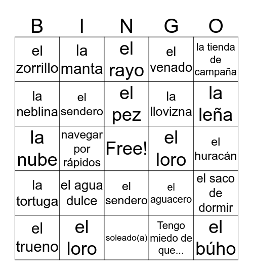 Spanish Vocabulary  Bingo Card