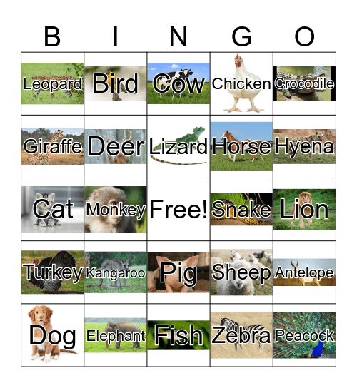 Animal Bingo Card