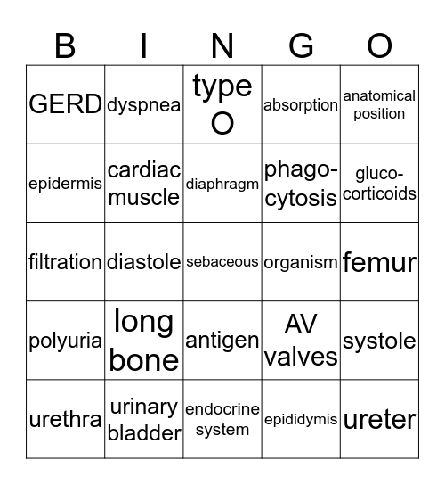 A&P REVIEW BINGO Card