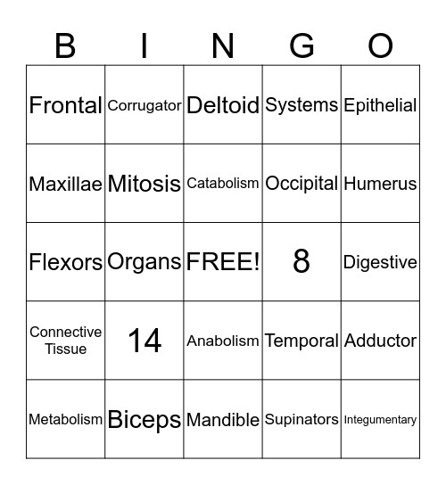 Anatomy and Physiology  Bingo Card