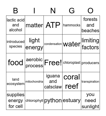 2nd Sem Review Bingo Card
