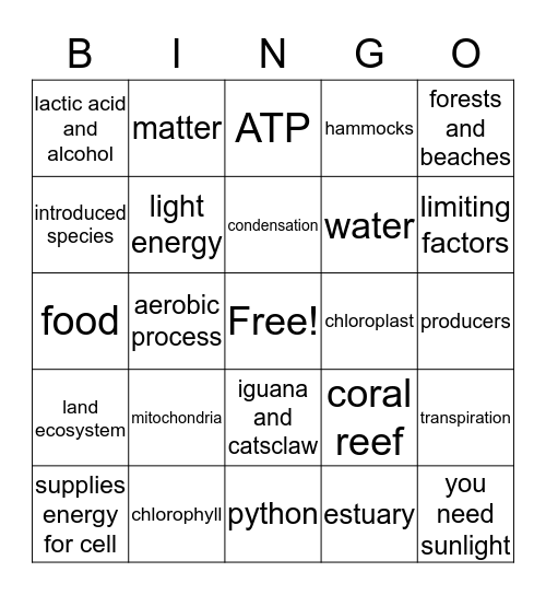 2nd Sem Review Bingo Card