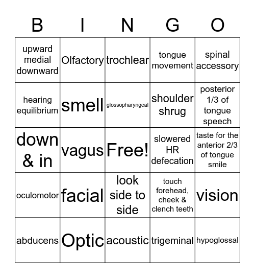 Cranial Nerves and function Bingo Card