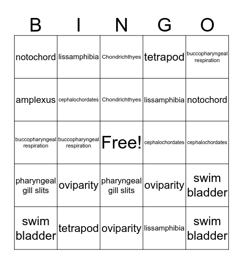 Zoology Bingo Card