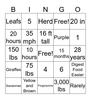 Fun Giraffe Facts Bingo Card