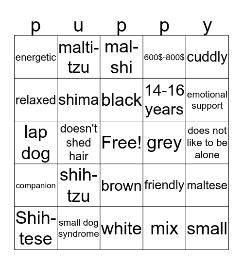 Shih-Tzu Maltese mix Bingo Card