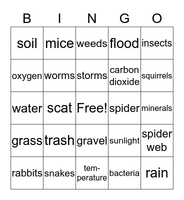 Biotic vs Abiotic Bingo Card