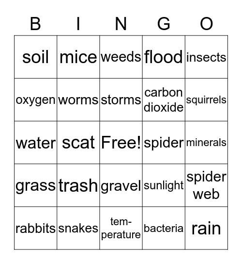 Biotic vs Abiotic Bingo Card